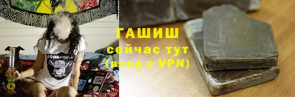 хмурый Арсеньев
