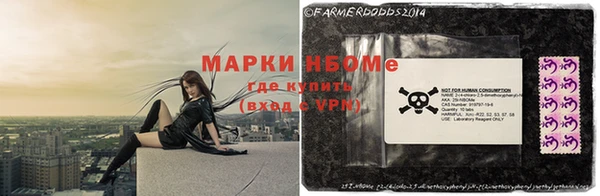 хмурый Арсеньев