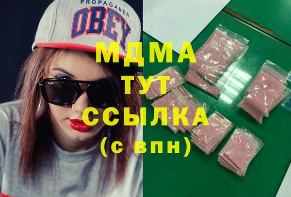 хмурый Арсеньев