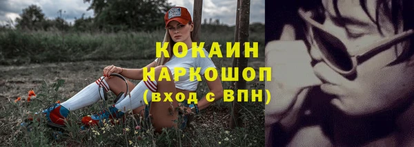 бошки Аркадак